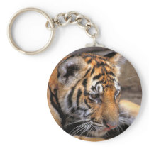 Tiger38 Keychains