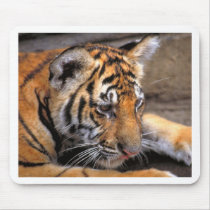 Tiger38 Mouse Pads