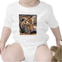 Tiger38