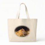 Tiger_1001 Tiger_1001