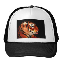 Tiger 1 A, Hat