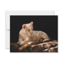 Tiger - A baby snow tiger invitations by suburbanscenes Tiger - A baby snow tiger invitations