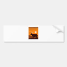 Tiger African Sunset Bumper Stickers