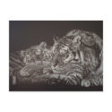 Tiger and Cub Postcard by Lotusfire Tiger and Cub Postcard