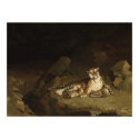 Tiger and Cubs Jean-Leon Gerome 1884 posters