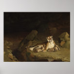Tiger and Cubs Jean-Leon Gerome 1884 posters