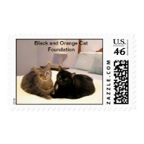 Tiger and Midnight Postage Stamps