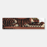 Tiger - Antiquarian, Colorful Book Illustration Bumper Sticker