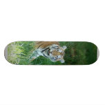 Tiger_Aroara011 Skate Deck