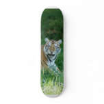 Tiger_Aroara011 Skateboard Deck