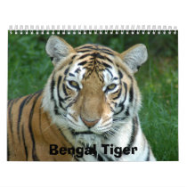 Tiger_Aroara012, Bengal Tiger Calendar