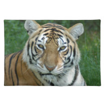 Tiger_Aroara012 placemats