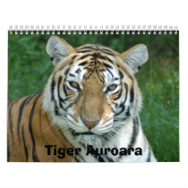 Tiger_Aroara012, Tiger Auroara Calendars