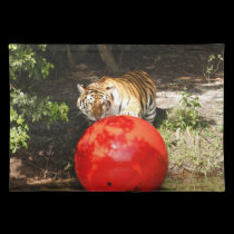 Tiger_Aroara030 placemats