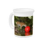Tiger_Aroara036 Drink Pitchers