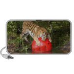 Tiger_Aroara040 Mp3 Speakers