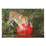Tiger_Aroara040 Placemat