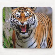 Tiger attack. mousepad