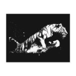 Tiger Attacking Post Cards