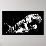 Tiger Attacking Poster Print - Tiger Black & White