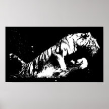 Tiger Attacking Poster Print - Tiger Black & White