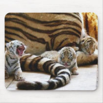 Tiger Babies Mousepad by GoldenAurora85 Tiger Babies Mousepad