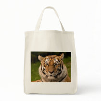 TIGER CANVAS BAG