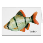 Tiger Barb Tropical Fish Card