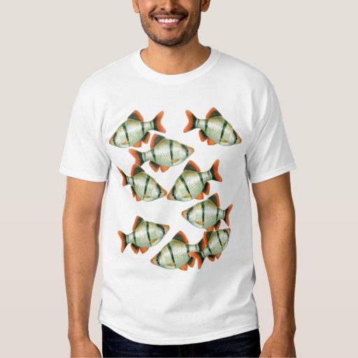 aquarium shirts