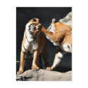 Tiger Bash postcards by deemac1 Tiger Bash postcards