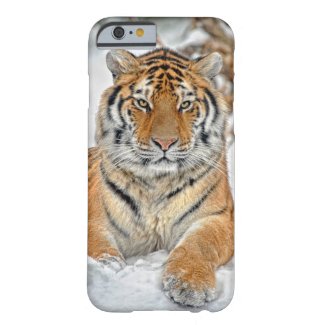 Tiger Beauty in Snow iPhone 6 Case