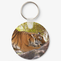 Tiger Bengali 001 keychains