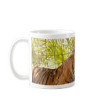 Tiger Bengali 003 Coffee Mugs