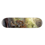 Tiger Bengali 006 Skate Boards