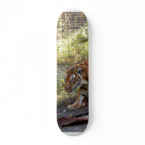 Tiger Bengali 006 skateboards