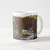 Tiger Bengali 008 mugs
