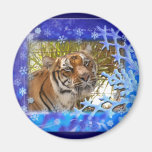 Tiger Bengali-c-18 copy Fridge Magnet