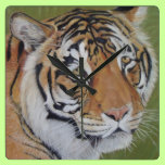 tiger big cat wildlife realist animal art clock wall clocks