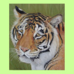 tiger big cat wildlife realist animal art poster posters