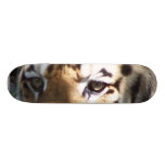 tiger board skate board decks