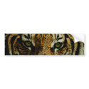 Tiger bumper stickers by talonrs Tiger bumper stickers