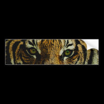 Tiger bumper stickers