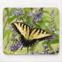 Tiger Butterfly mousepads