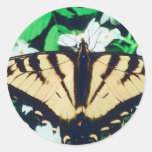 Tiger Butterfly Round Stickers