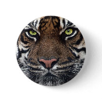 Tiger buttons by REDINARD Tiger buttons