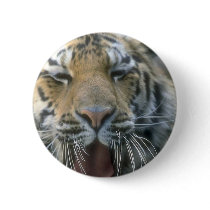 Tiger buttons