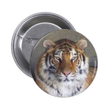 Tiger Button