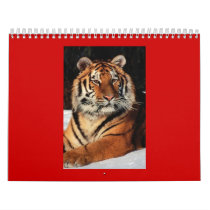 TIGER CALENDAR