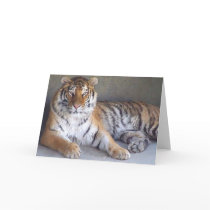 Tiger Card