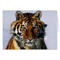 tiger greeting card
